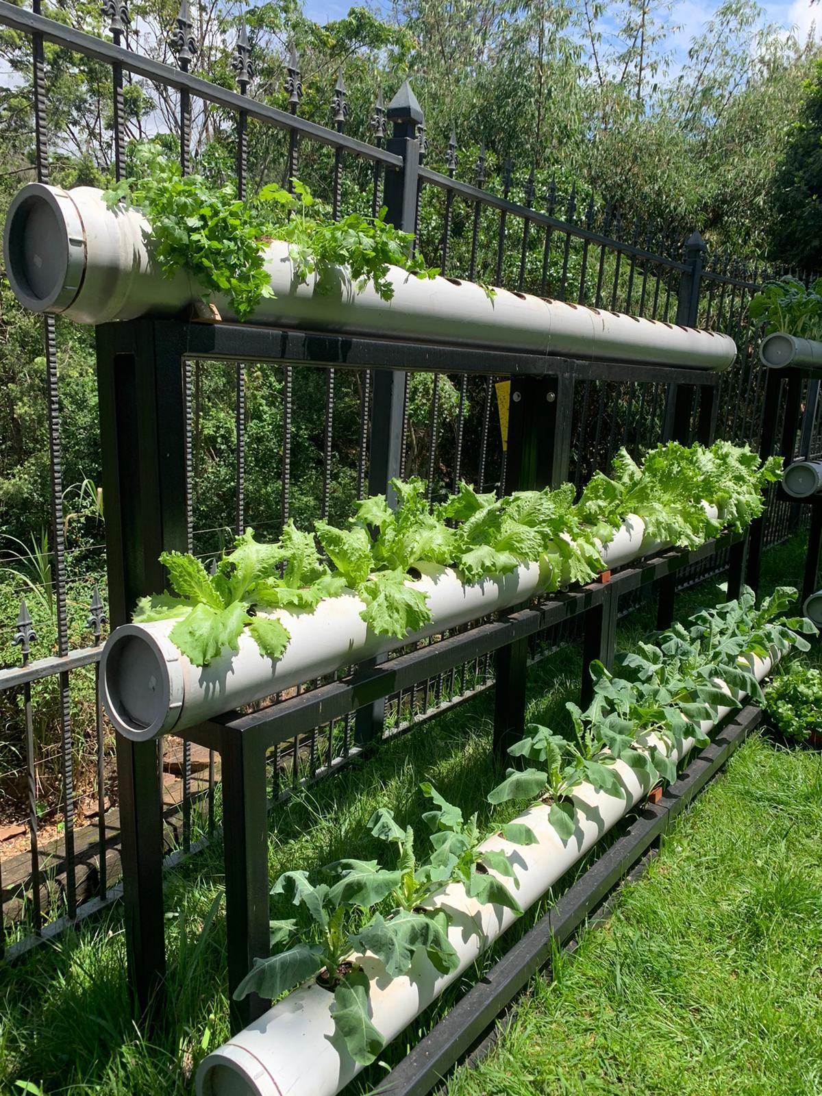 vertical gardens frugal innovation