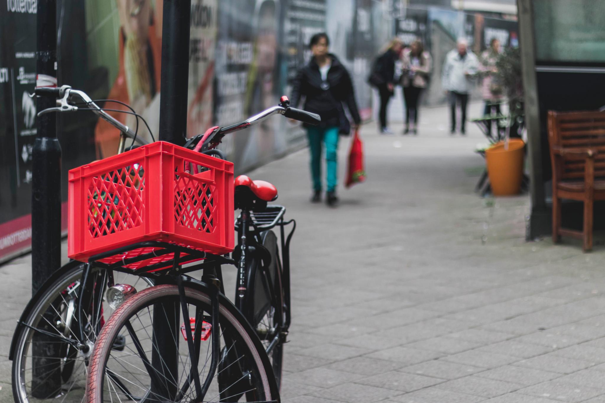 Rotterdam gezondheid maatschappij