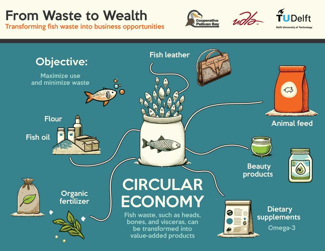 Infographic. “From Waste to Wealth. Transforming Fish Waste into Business Opportunities” (Castrejón et al., 2024).