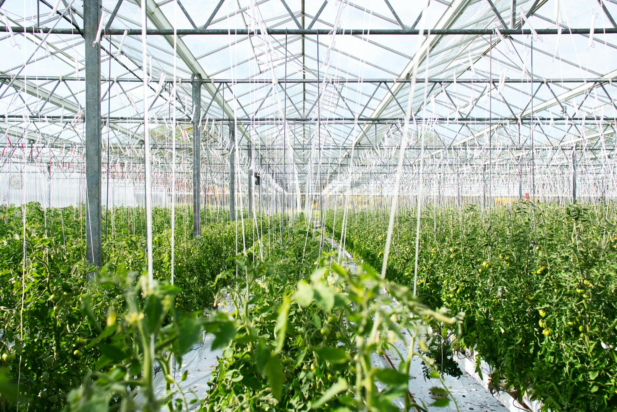 Horticulture