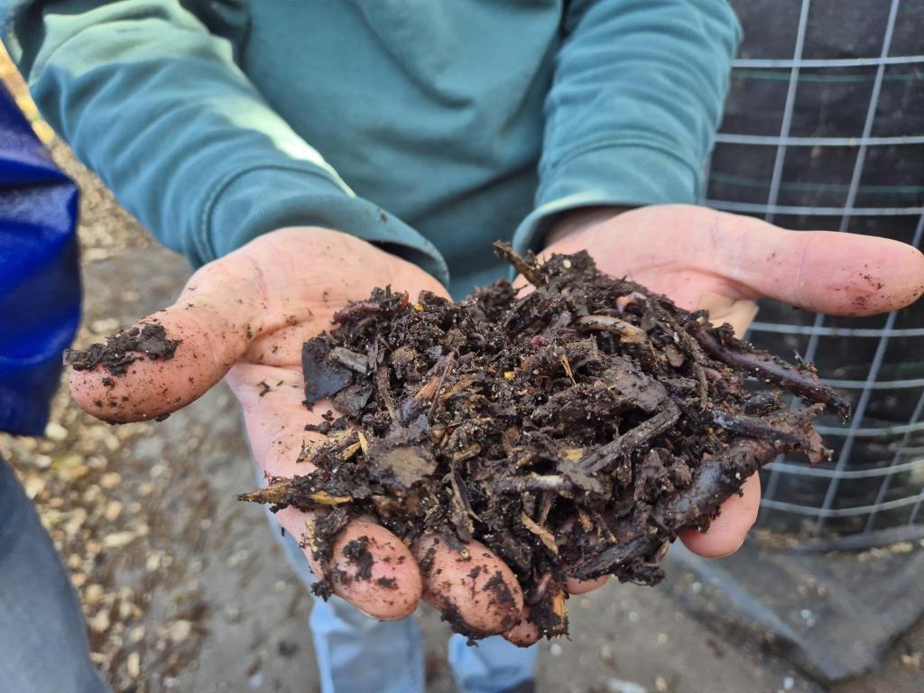 Compost at WIJdehorst.