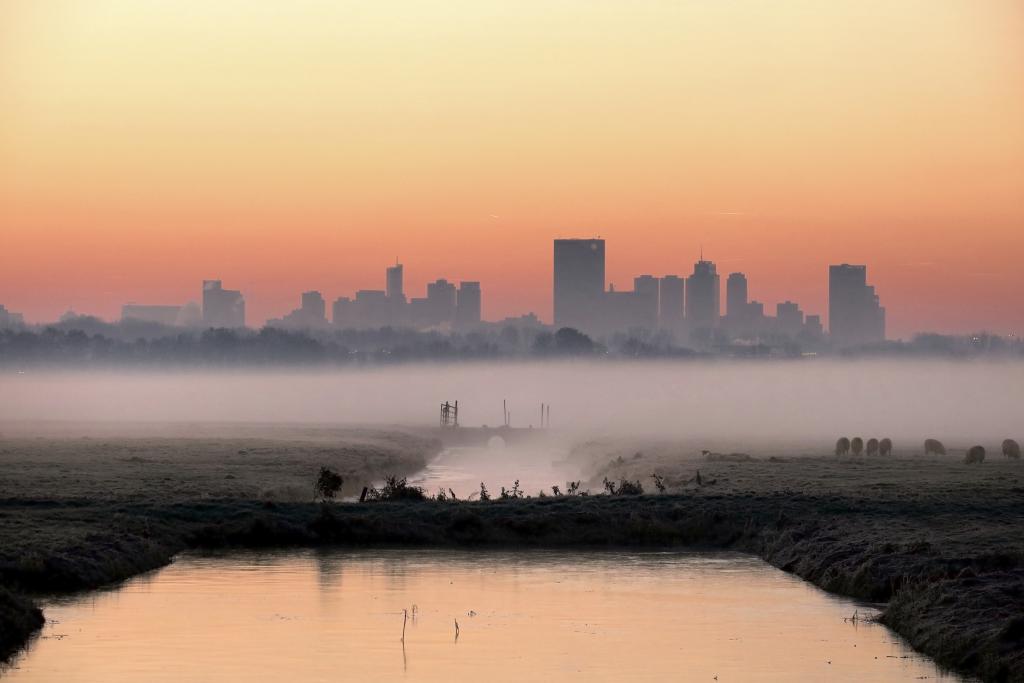 polder