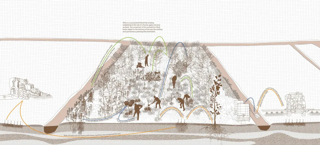 Visualisatie van rapport Rooted in Soil (Thomas et al., 2026)