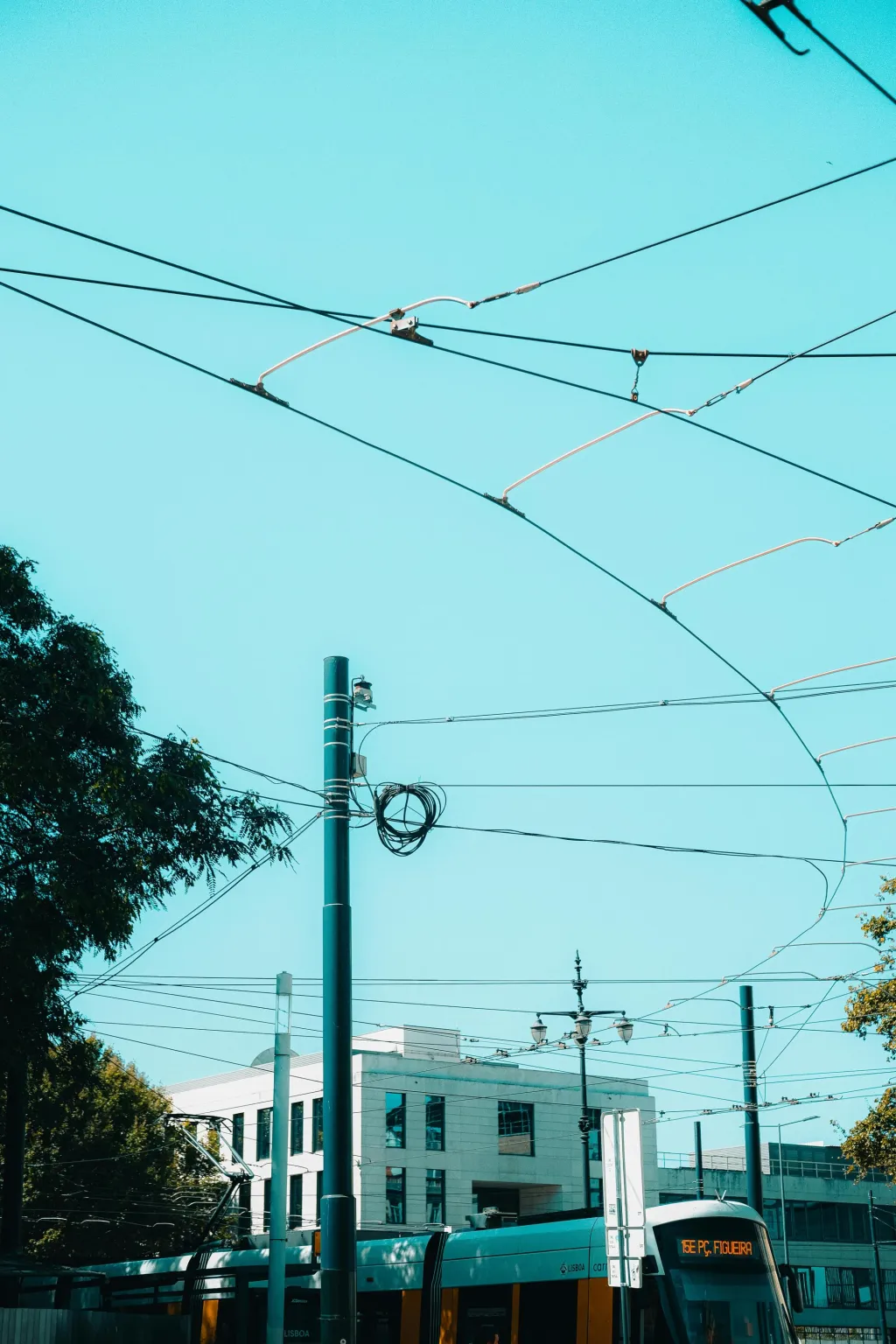 digital city