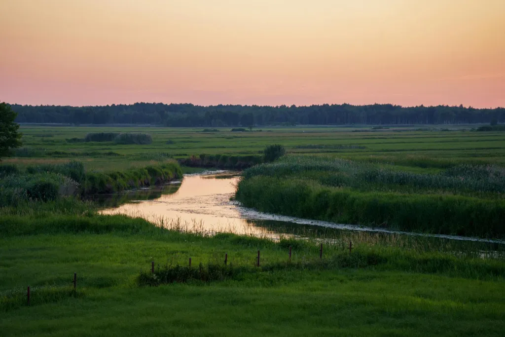 ondergaande zon