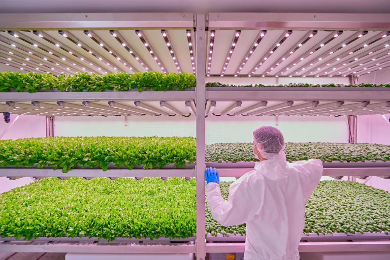 Sustainable Horticulture