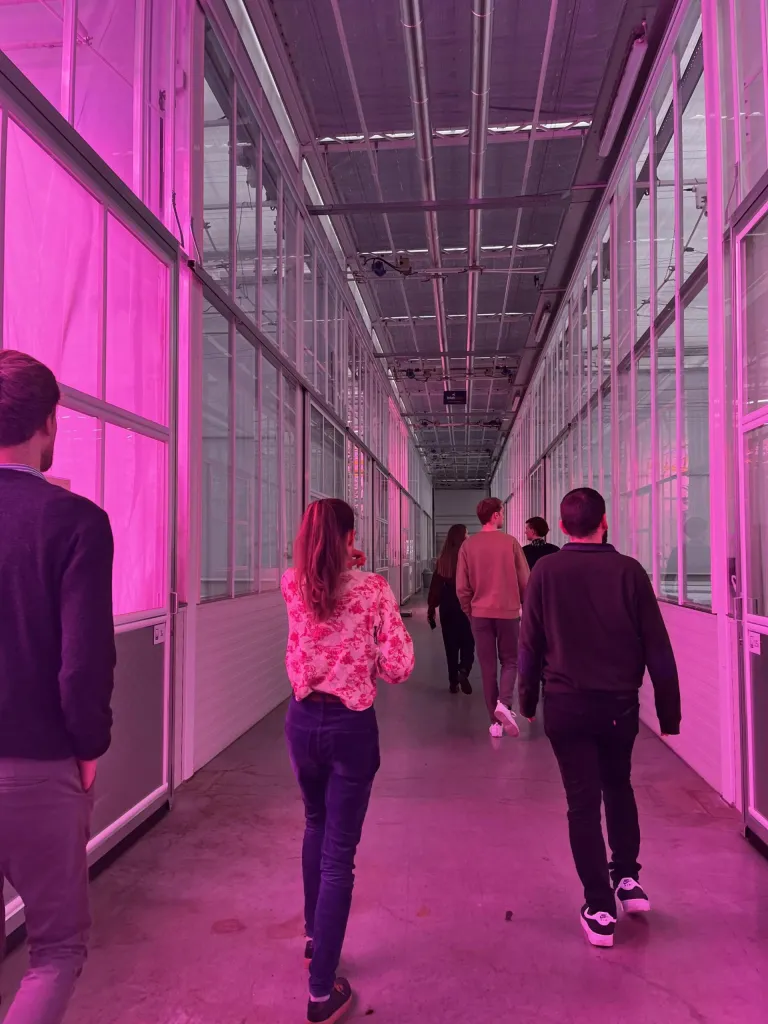 Sustainable Horticulture Agadir