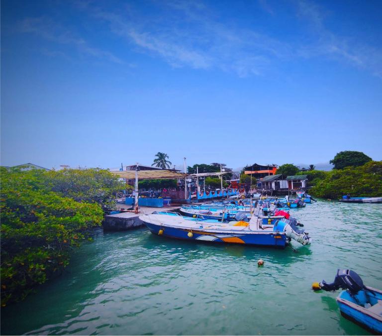 Fishing boats at the harbor