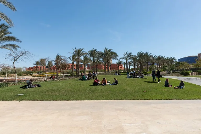 american university cairo