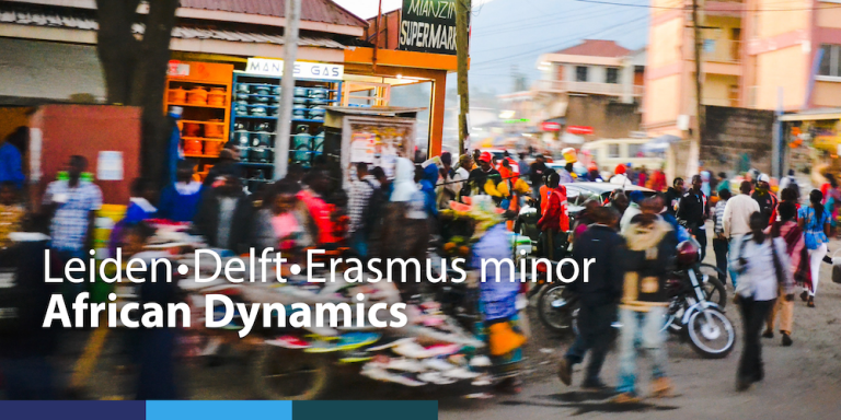 african dynamics 
