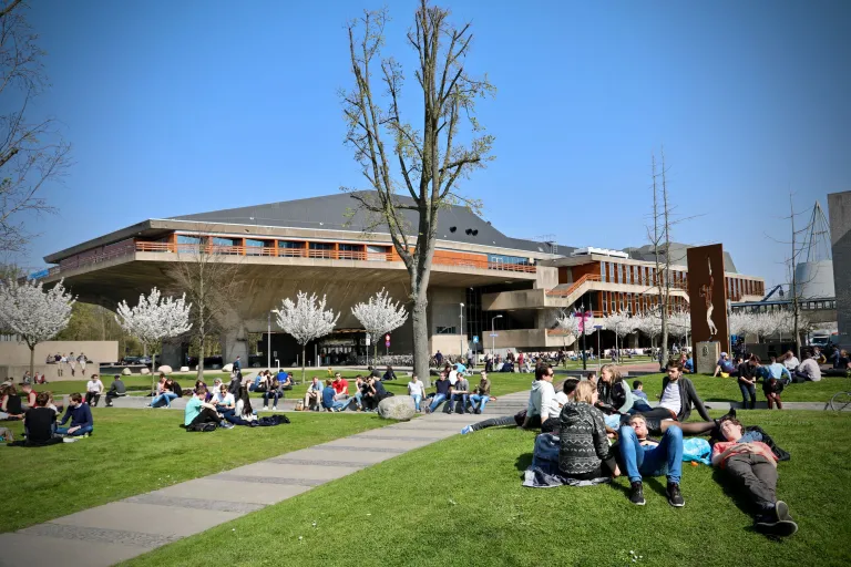 mijn