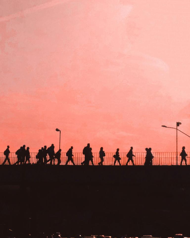 migration