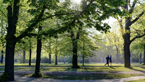 Healthy Society Programma voegt zesde opschalingsproject toe aan subsidietoekenningen