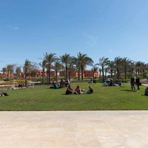 american university cairo