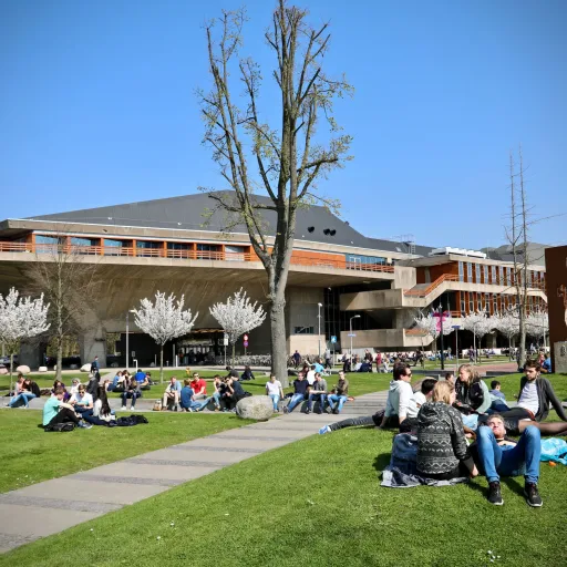 mijn