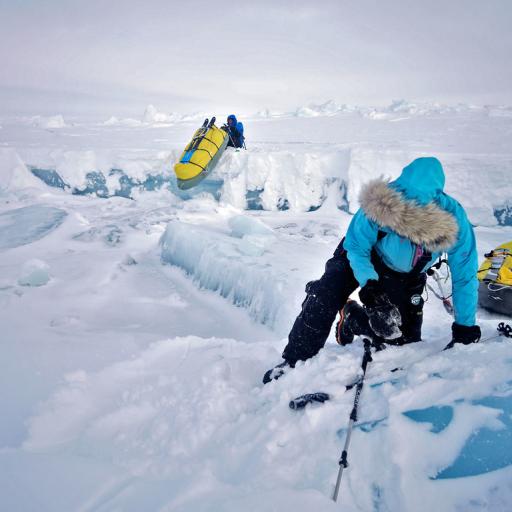 Expeditie op Noordpool