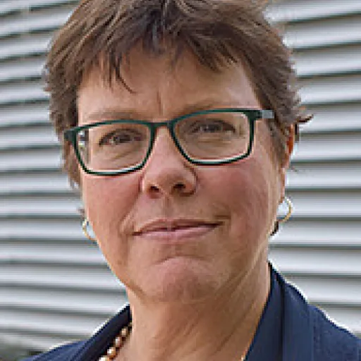 Liesbet van Zoonen