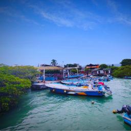 Fishing boats at the harbor