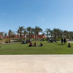 american university cairo