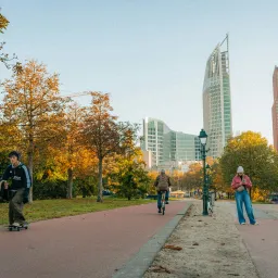 The Hague - Alireza Parpaei