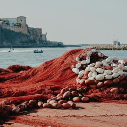 haven Rabat