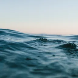 Matt Hardy via Pexels