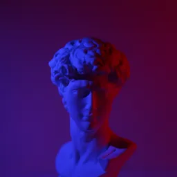 head