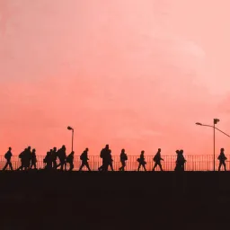 migration
