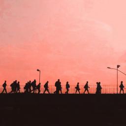 migration