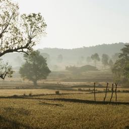 From hero to zero: the development of Bio-mass stoves in India