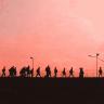 migration
