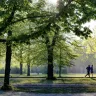Healthy Society Programma voegt zesde opschalingsproject toe aan subsidietoekenningen